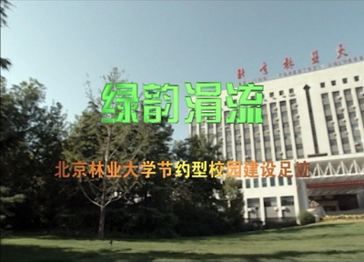 视频新闻275期：绿色涓流