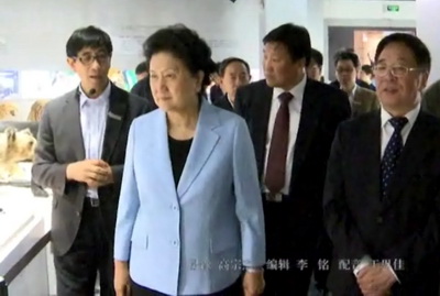 校园新闻专题片