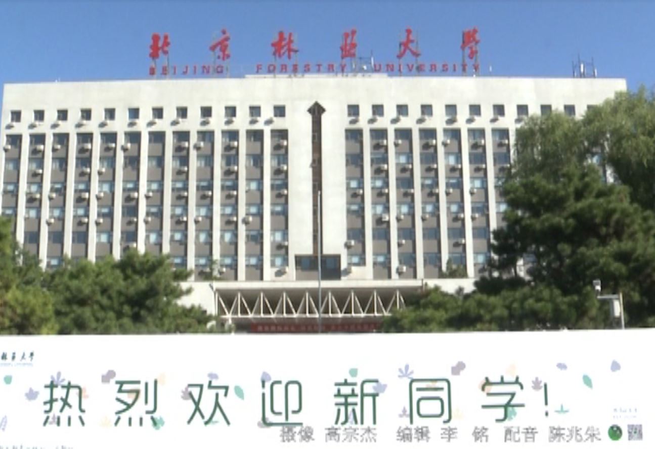 视频新闻298期：我校2015级新生报到