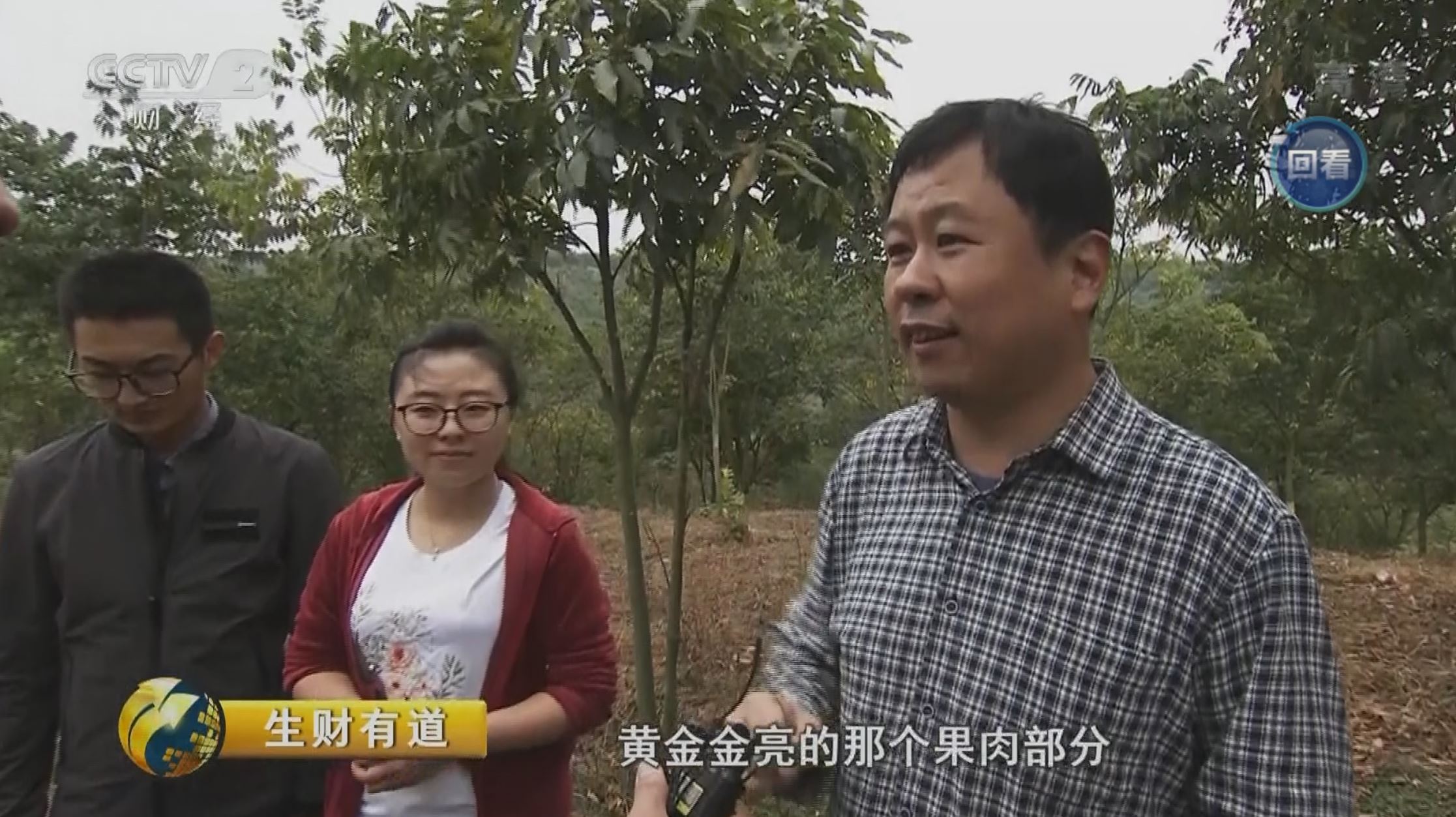 视频新闻第352期：中央电视台财经频道报道我校无患子团队参与福建建宁无患子良种繁育项目