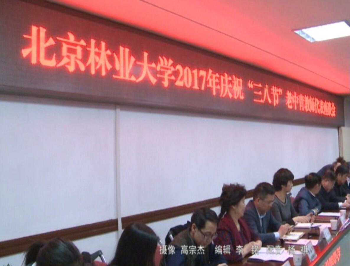 视频新闻331期：我校庆祝“三八节”老中青教师代表座谈会召开