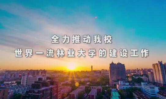 《厉害了，我的林》