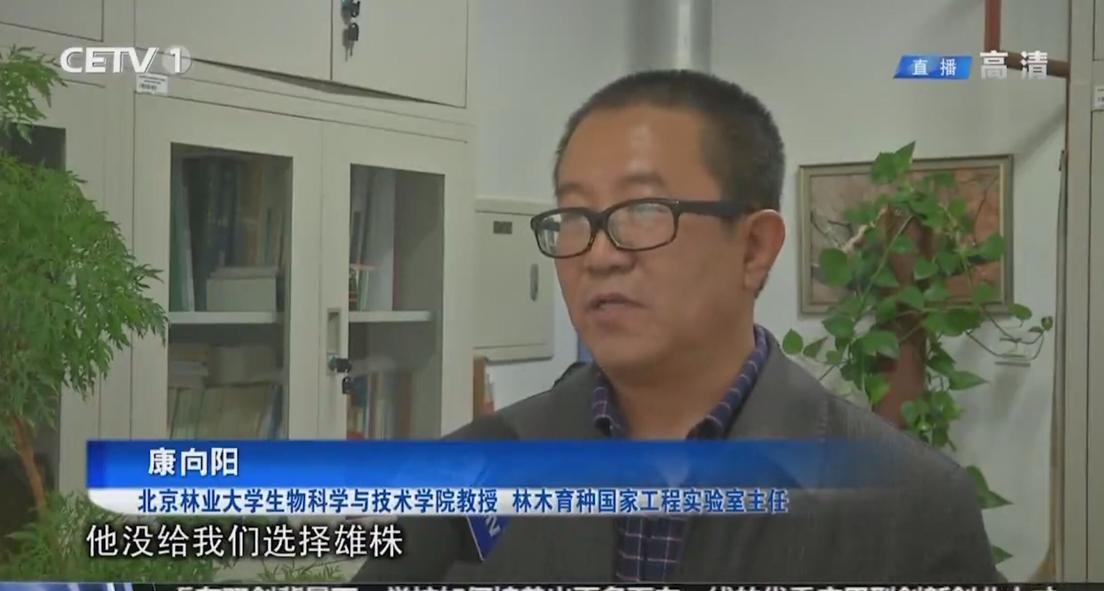 视频新闻第361期：中国教育电视台报道我校教授谈杨柳风絮