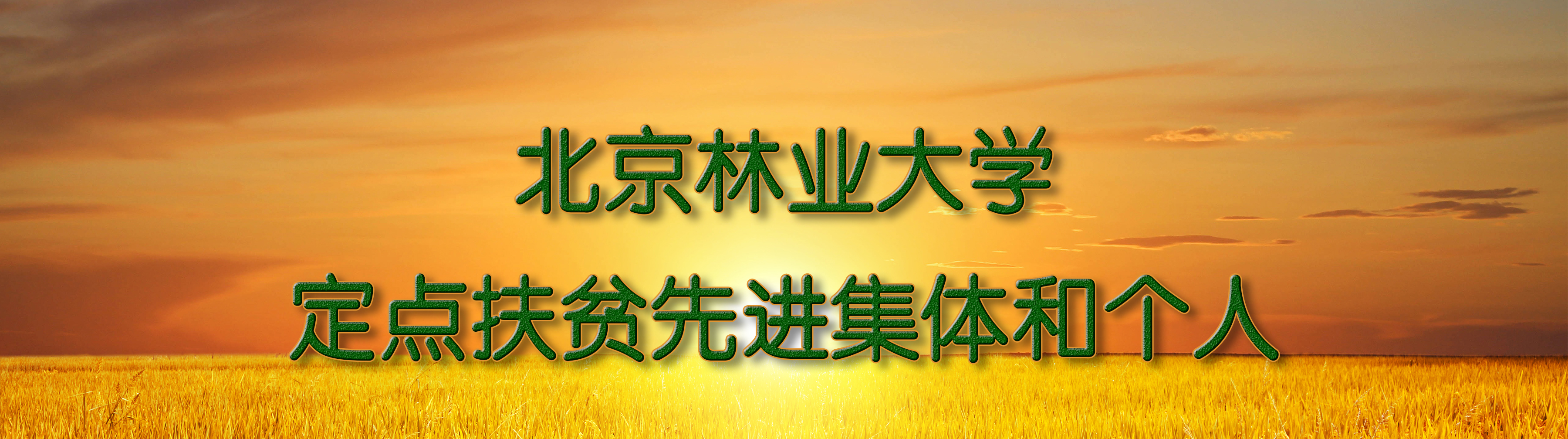 定点扶贫先进集体和个人