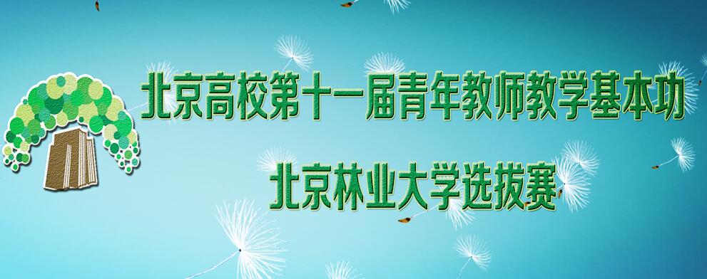 教学基本功大赛