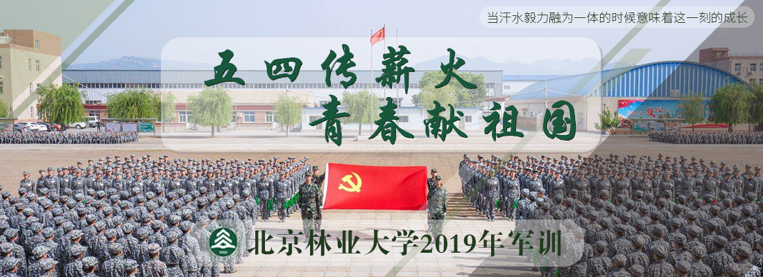 2019年军训专题