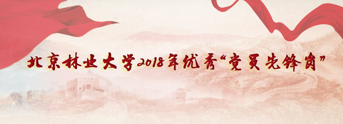 2018年优秀党员先锋岗