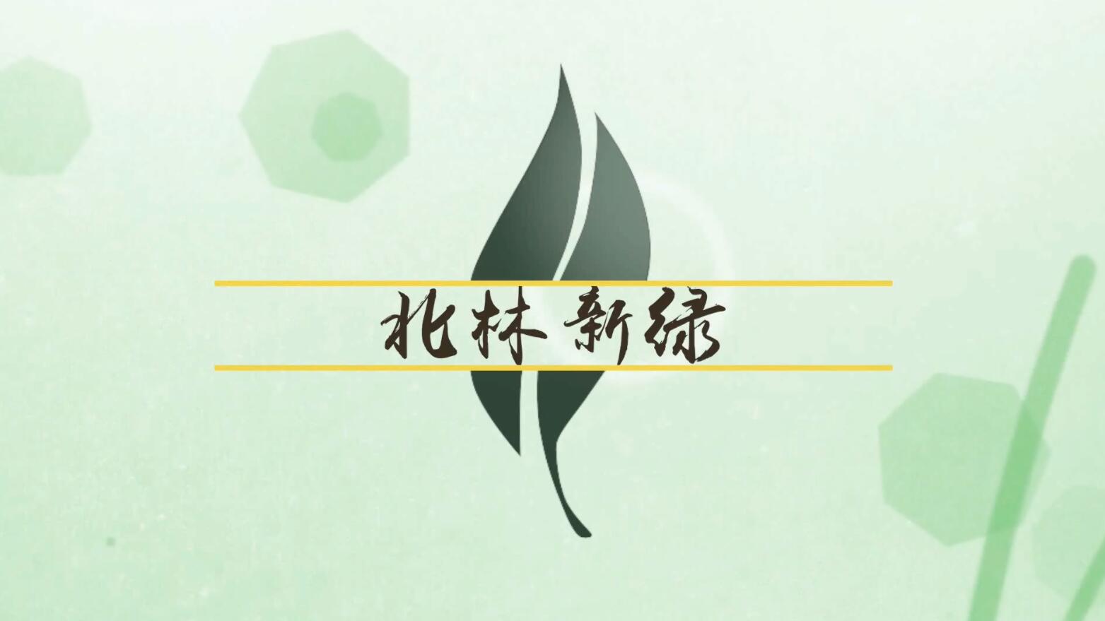 开学季：北林迎新现场掠影