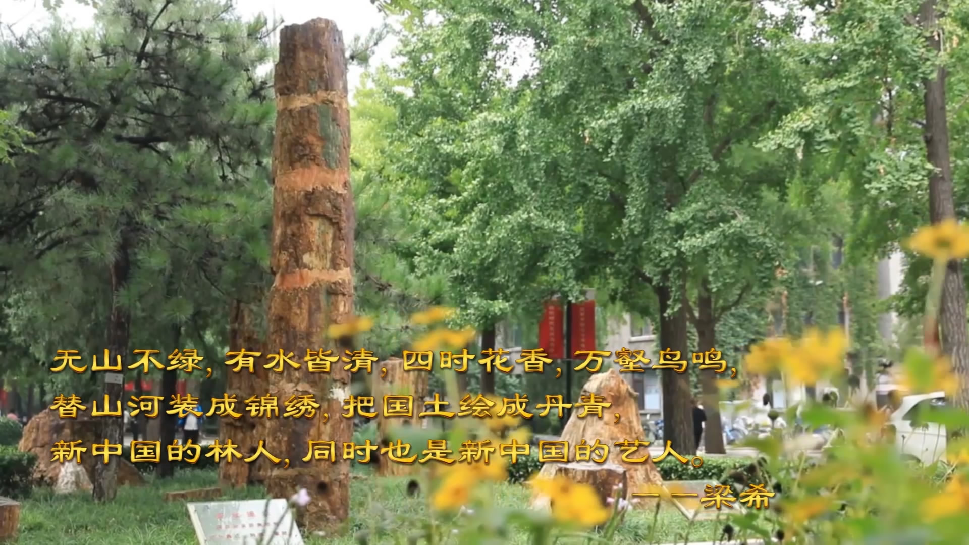 为祖国而唱，北林，来了