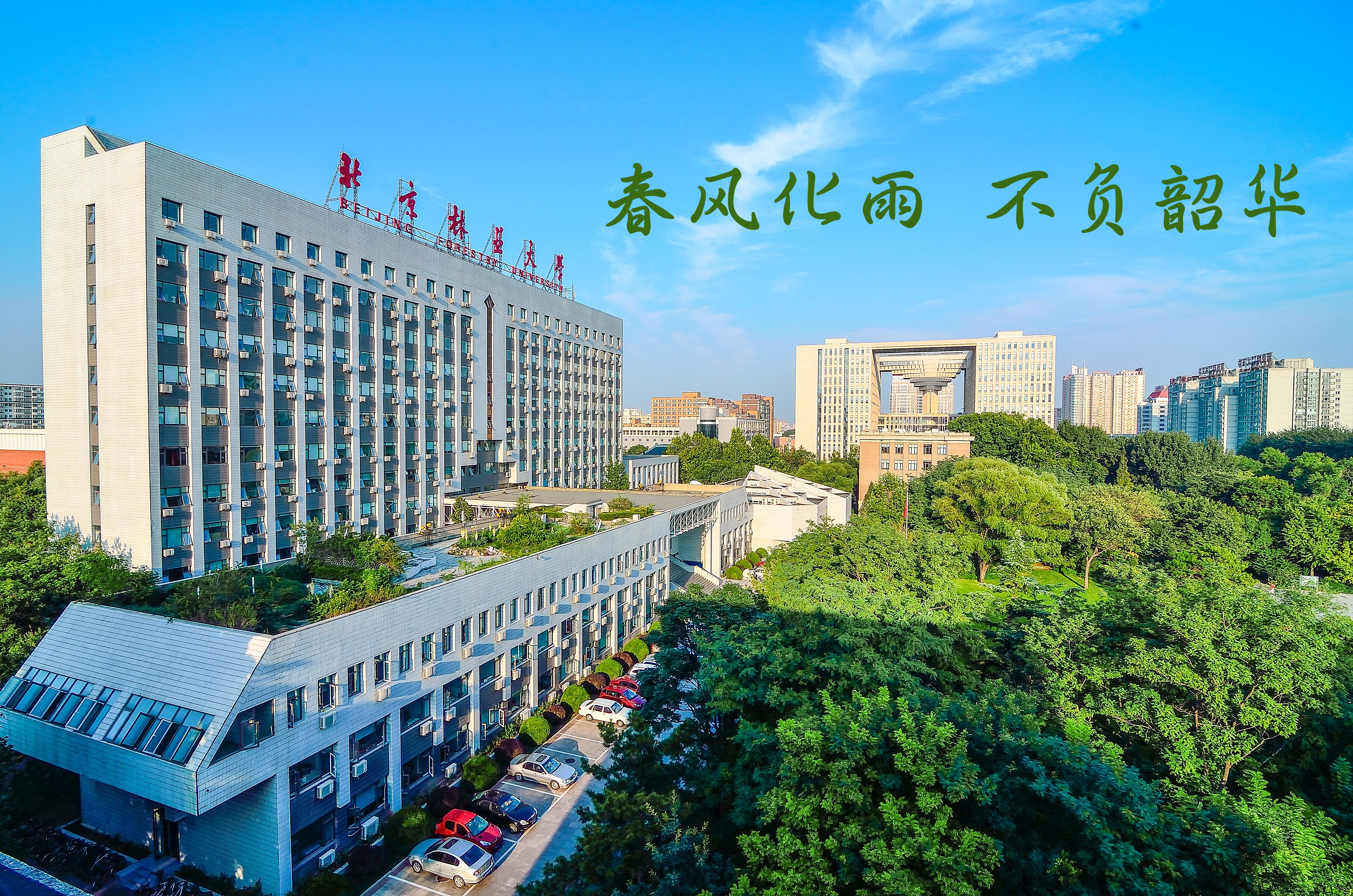 北京广播电视台：北京林业大学思政专题片（四）