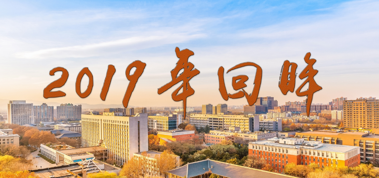 2019年回眸