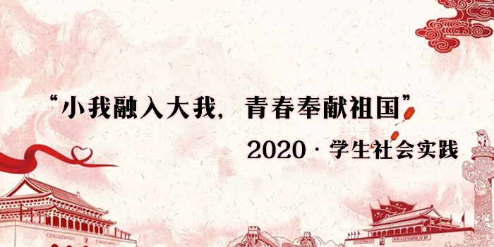 2020年学生社会实践