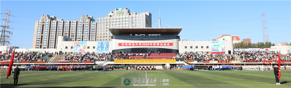 视频新闻第390期：北京林业大学2020年秋季运动会举行