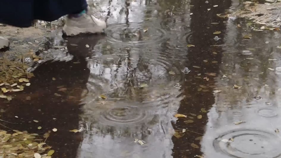 北林视频：雨中林