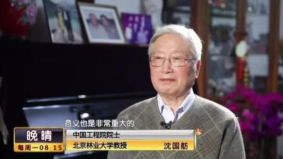 【植树节】沈国舫专访：育林人的“绿色”梦想