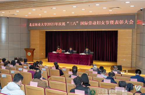 视频新闻第393期：我校举行2021年庆祝“三八”国际劳动妇女节系列活动