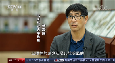 北林视频：绿色的“烦恼”