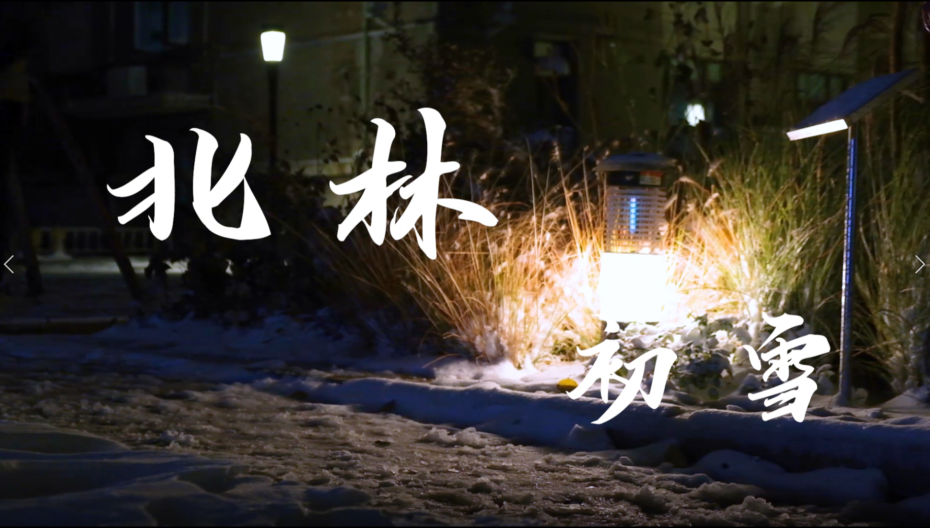 北林视频：北林初雪