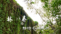 北林视频：林·春——静待七秩花开